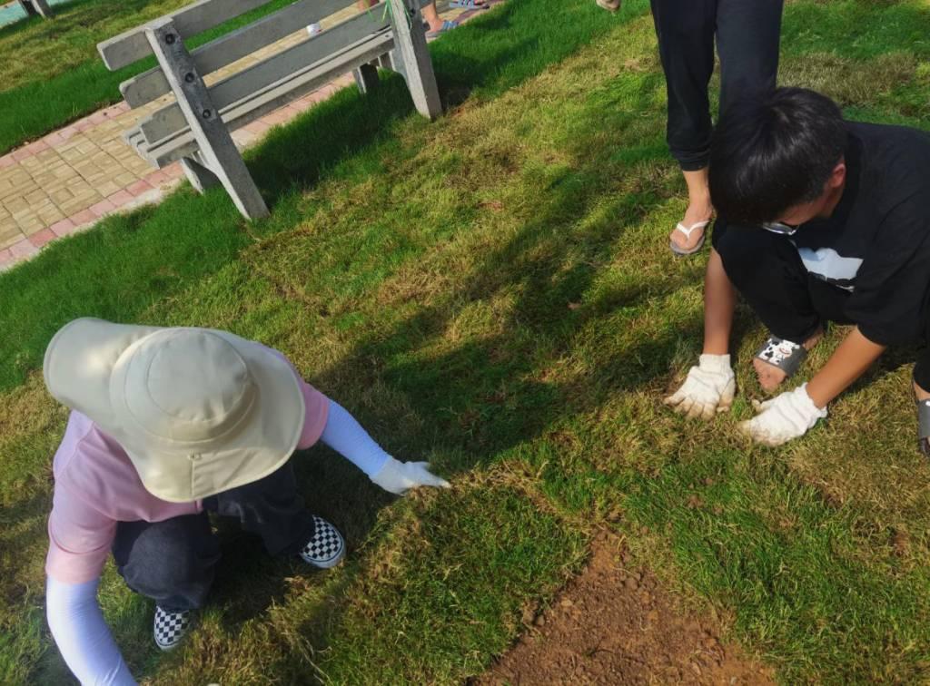 图为团队成员细心将草地进行打理。 中国青年网通讯员 杨春红 摄