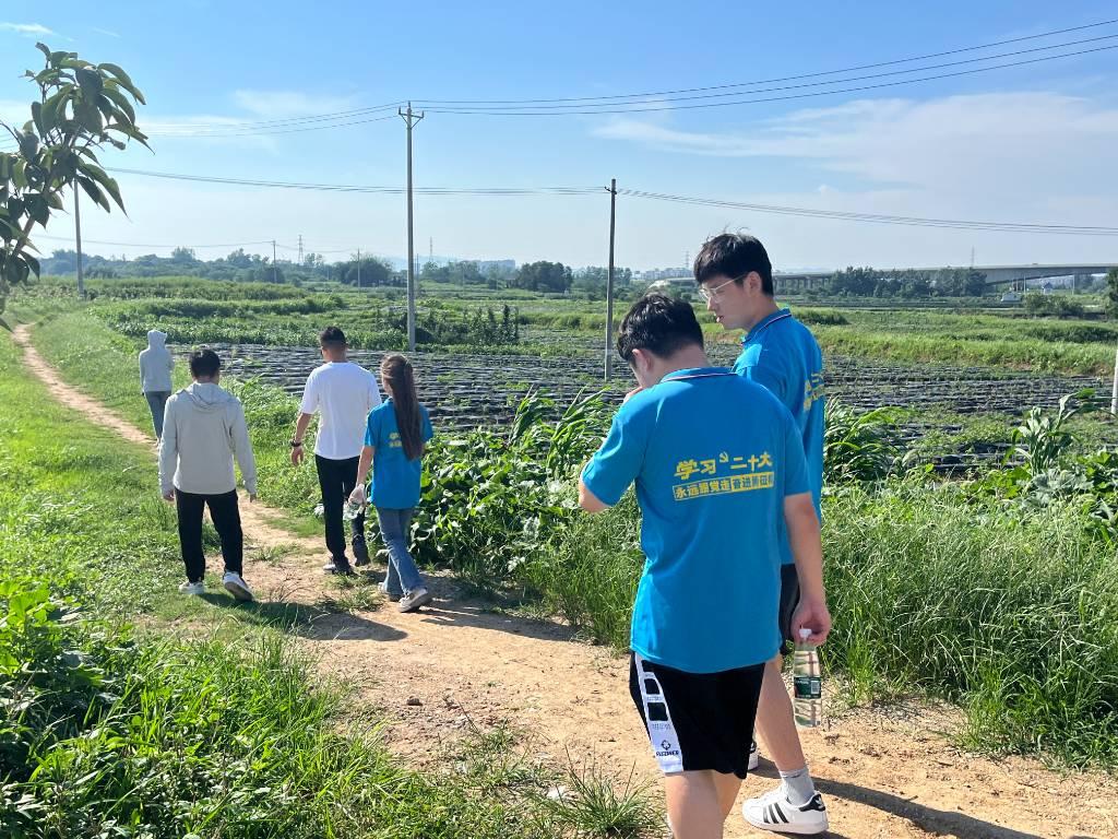 图为团队成员前往巢湖市柘皋镇峏山村进行实地调研。